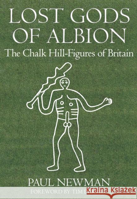 Lost Gods of Albion: The Chalk Hill Figures of Britain Newman, Paul 9780752449395  - książka