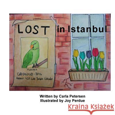 Lost in Istanbul Carla Petersen Joy Perdue 9781515159858 Createspace Independent Publishing Platform - książka