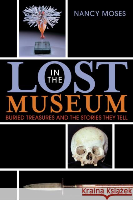 Lost in the Museum: Buried Treasures and the Stories They Tell Moses, Nancy 9780759110700 Altamira Press - książka
