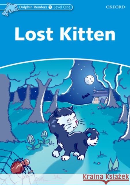 Lost Kitten Taylor, Di 9780194400862 Oxford University Press, USA - książka