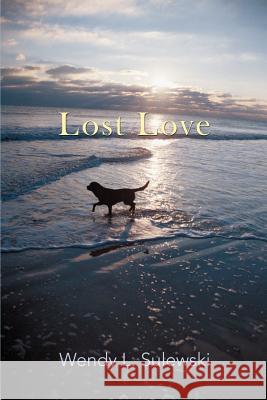 Lost Love Wendy L. Sulewski 9780595398287 iUniverse - książka