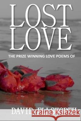 Lost Love Poems: Words a woman should hear, not read Ellsworth, David 9781493624942 Createspace - książka