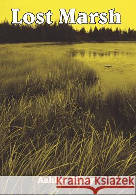 Lost Marsh Ashley Riley 9781420867183 Authorhouse - książka