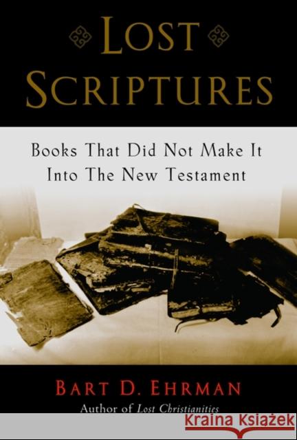 Lost Scriptures: Books that Did Not Make It into the New Testament Bart D. (Bowman and Gordon Gray Professor of Religious Studies, Bowman and Gordon Gray Professor of Religious Studies, U 9780195182507 Oxford University Press Inc - książka