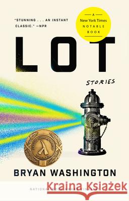 Lot: Stories Bryan Washington 9780525533689 Riverhead Books - książka