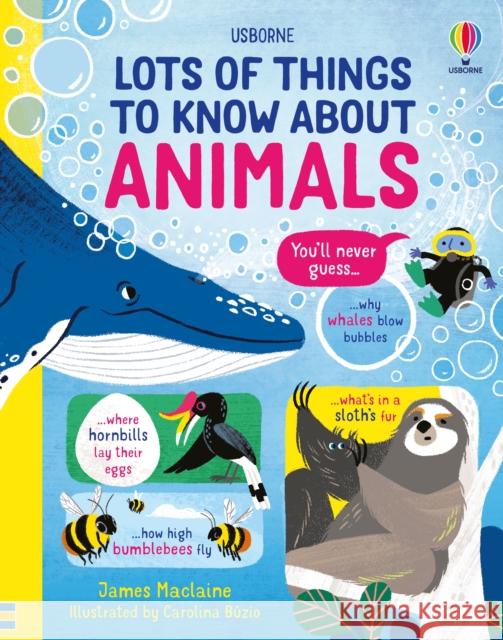 Lots of Things to Know About Animals James Maclaine 9781474990752 Usborne Publishing Ltd - książka