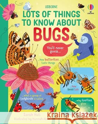 Lots of Things to Know about Bugs Sarah Hull Hannah Abbo 9781836053224 Usborne Books - książka