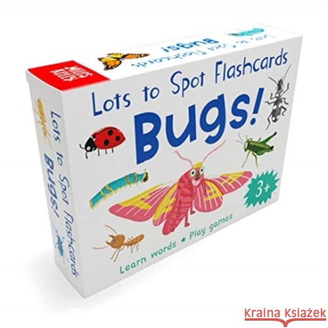 Lots to Spot Flashcards: Bugs! Amy Johnson 9781789891119 Miles Kelly Publishing Ltd - książka