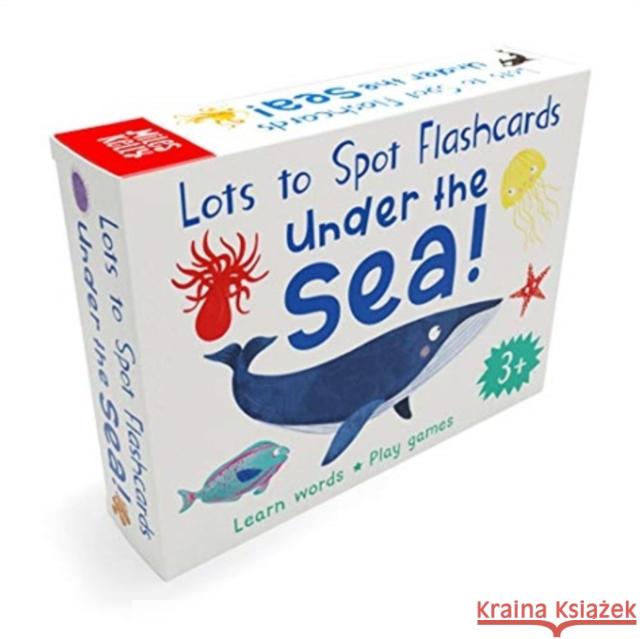 Lots to Spot Flashcards: Under the Sea! Becky Miles 9781789891133 Miles Kelly Publishing Ltd - książka