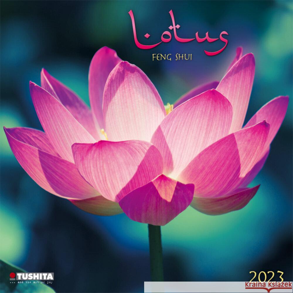 Lotus Feng Shui 2023  9783959290012 Tushita - książka