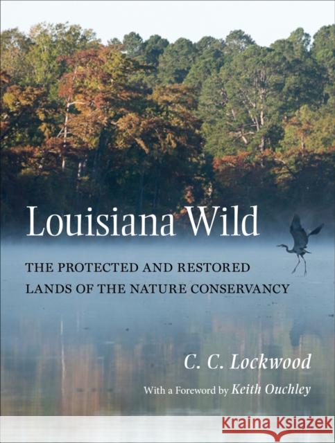 Louisiana Wild: The Protected and Restored Lands of the Nature Conservancy C. C. Lockwood Keith Ouchley 9780807161234 Lsu Press - książka