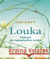 Louka Jan Haft 9788088316336 Nakladatelství Kazda - książka
