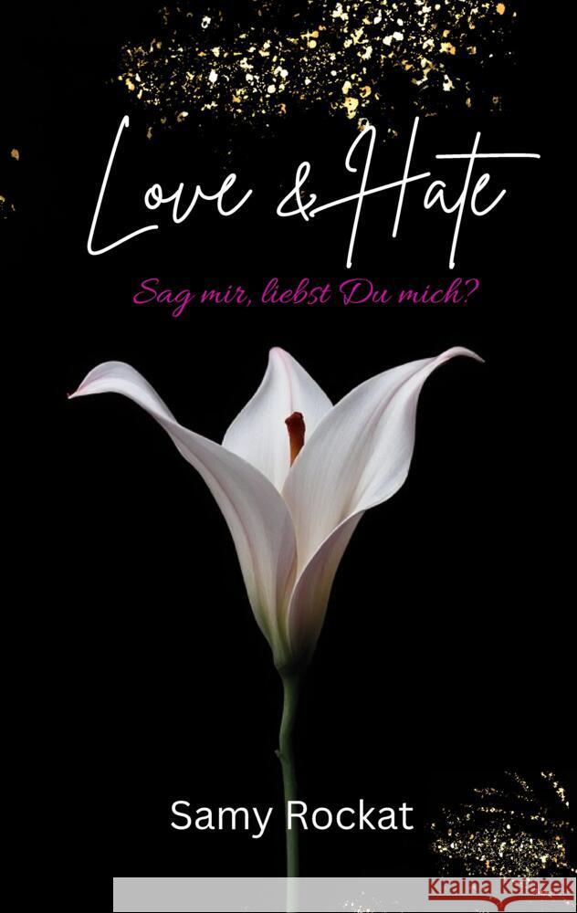 Love & Hate Rockat, Samy 9783384606044 tredition - książka