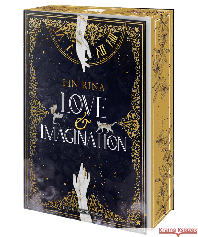 Love & Imagination Rina, Lin 9783959916974 Drachenmond Verlag - książka