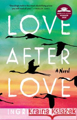 Love After Love Ingrid Persaud 9780593157589 One World - książka