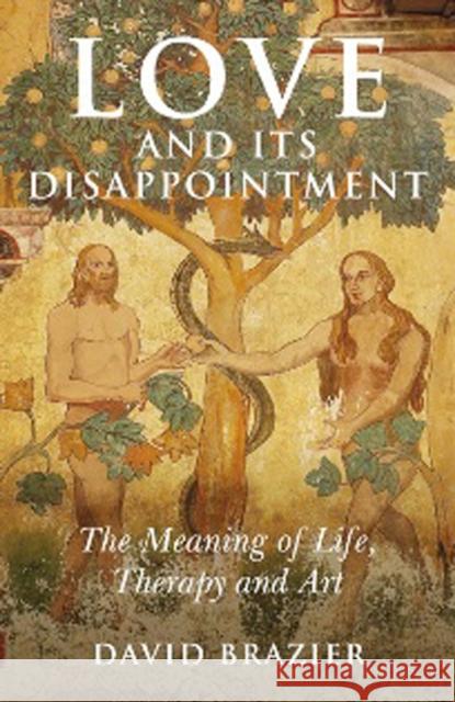 Love and Its Disappointment: The Meaning of Life, Therapy and Art David Brazier 9781846942099 O Books - książka