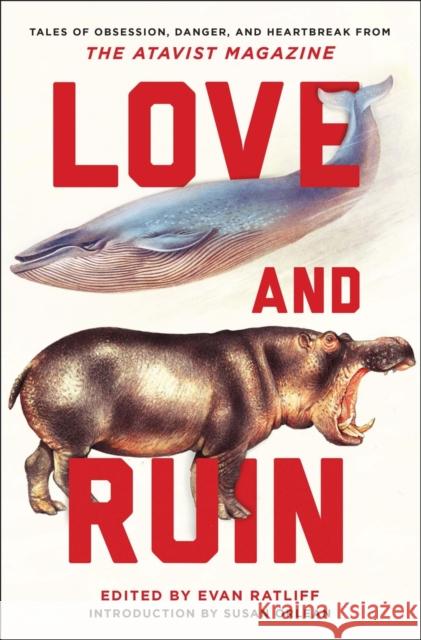 Love and Ruin: Tales of Obsession, Danger, and Heartbreak from the Atavist Magazine Ratliff, Evan 9780393352719 John Wiley & Sons - książka