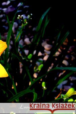 Love In Action: The Commandments Trese, Leo J. 9781468130676 Createspace - książka