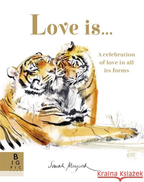 Love Is...: A Celebration of Love in All Its Forms Lily Murray 9781800787865 Templar Publishing - książka