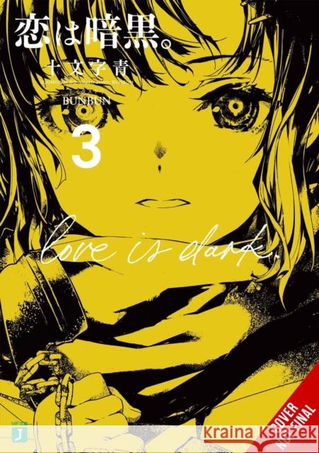 Love Is Dark, Vol. 3 Zoe Womack 9798855407679 Little, Brown & Company - książka