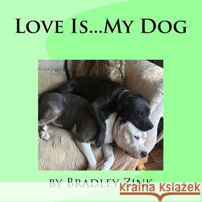 Love Is...My Dog Bradley Zink 9781974546336 Createspace Independent Publishing Platform - książka