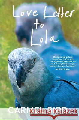 Love Letter to Lola Carmel Bird 9781925052961 Spineless Wonders - książka