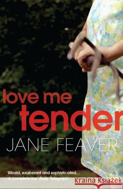 Love Me Tender Jane Feaver 9780099521280 Random House UK - książka