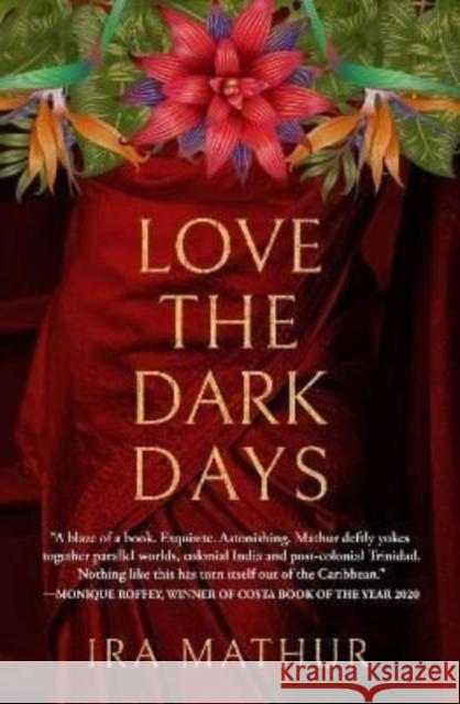 Love the Dark Days Ira Mathur 9781845235352 Peepal Tree Press Ltd - książka