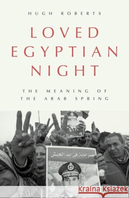 Loved Egyptian Night: The Meaning of the Arab Spring Hugh Roberts 9781839768835 Verso Books - książka