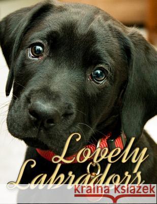 Lovely Labradors Ironpower Publishing 9781523436453 Createspace Independent Publishing Platform - książka