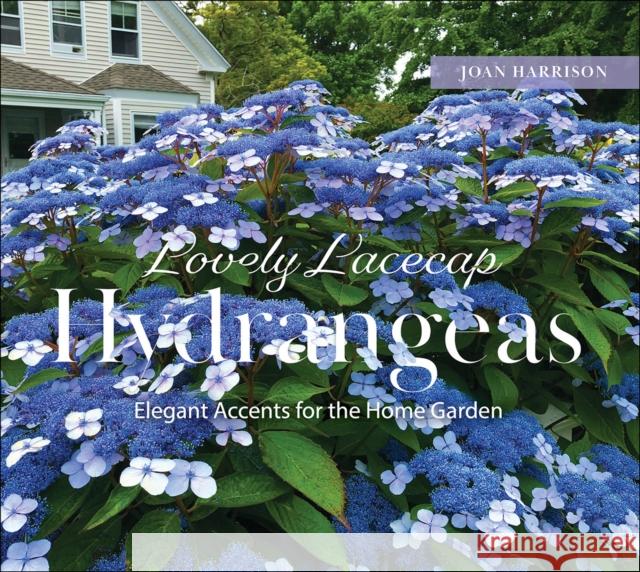 Lovely Lacecap Hydrangeas: Elegant Accents for the Home Garden Joan Harrison 9780764368967 Schiffer Publishing - książka