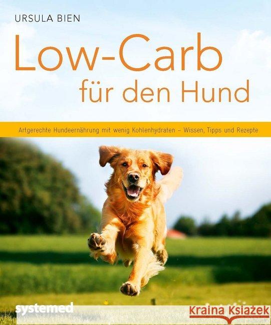 Low-Carb für den Hund : Artgerechte Hundeernährung mit wenig Kohlenhydraten - Wissen, Tipps und Rezepte Bien, Ursula 9783958140110 Systemed - książka