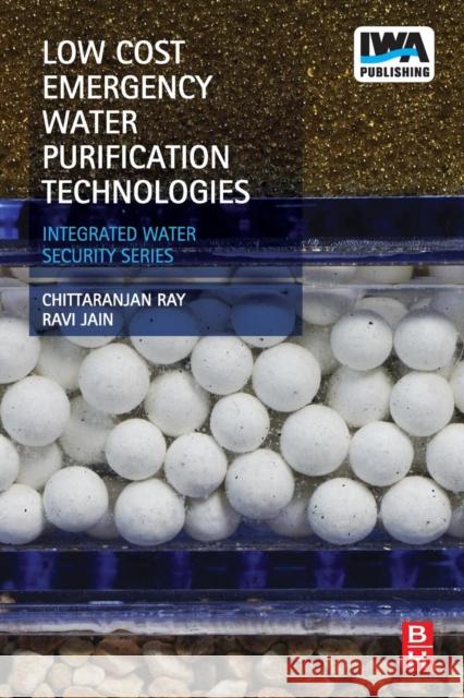 Low Cost Emergency Water Purification Technologies: Integrated Water Security Series Ray, Chittaranjan 9780124114654 ELSEVIER - książka