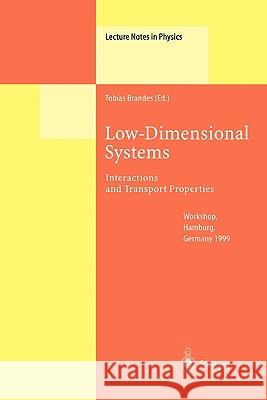 Low-Dimensional Systems: Interactions and Transport Properties Tobias Brandes 9783642086601 Springer-Verlag Berlin and Heidelberg GmbH &  - książka