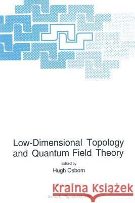 Low-Dimensional Topology and Quantum Field Theory Hugh Osborn 9781489916143 Springer - książka