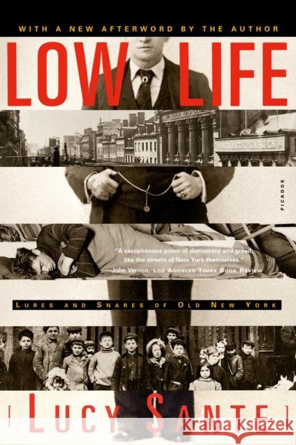 Low Life: Lures and Snares of Old New York Luc Sante 9780374528997 Farrar Straus Giroux - książka