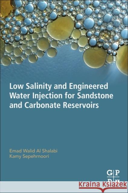 Low Salinity and Engineered Water Injection for Sandstone and Carbonate Reservoirs Emad Wali Kamy Sepehrnoori 9780128136041 Gulf Professional Publishing - książka