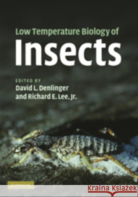 Low Temperature Biology of Insects David Denlinger 9780521886352  - książka