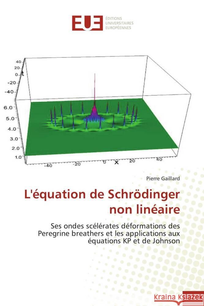 L'équation de Schrödinger non linéaire Gaillard, Pierre 9786138414261 Éditions universitaires européennes - książka