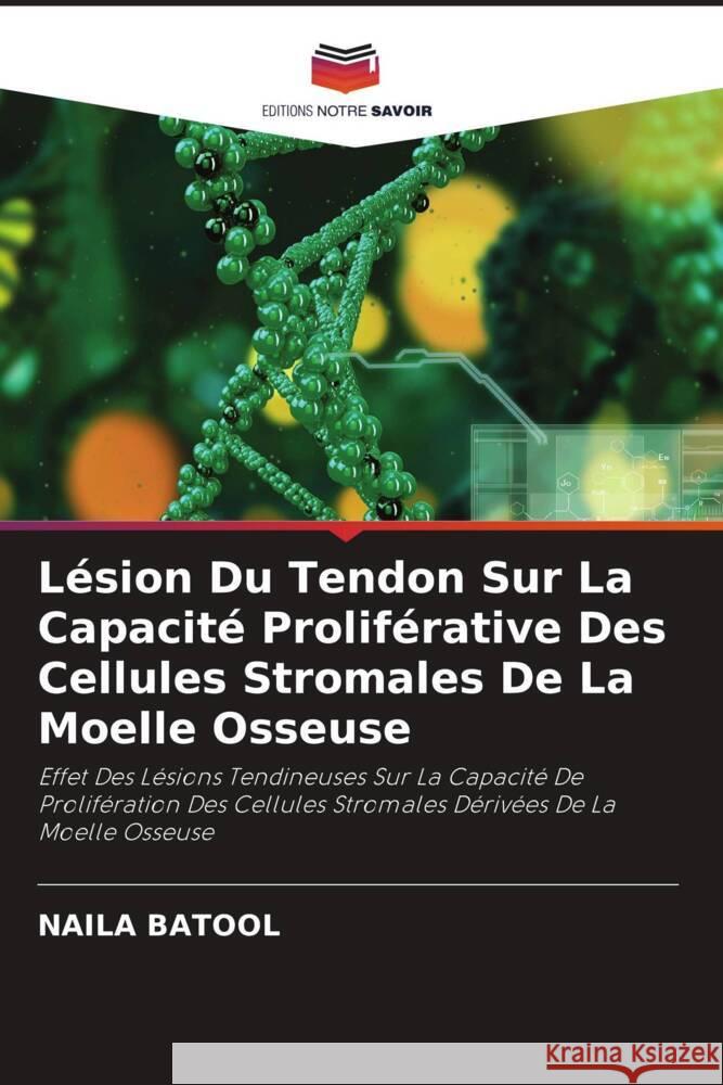 Lésion Du Tendon Sur La Capacité Proliférative Des Cellules Stromales De La Moelle Osseuse Batool, Naila 9786204760766 Editions Notre Savoir - książka