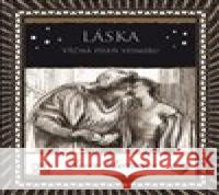 Láska Jason Martineau 9788073637491 Dokořán - książka