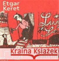 Létající Santini Tereza Å˜Ã­ÄanovÃ¡ 9788087060971 G plus G - książka