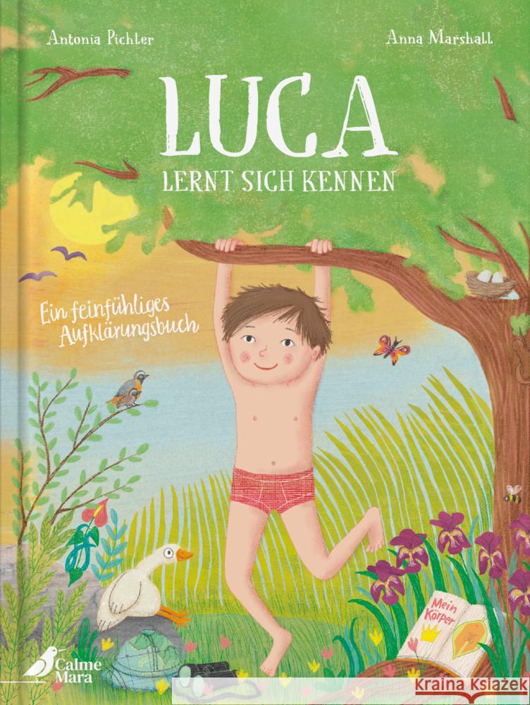 Luca lernt sich kennen Pichler, Antonia 9783948877514 CalmeMara Verlag - książka
