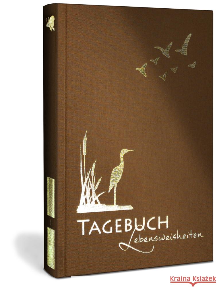 LUCA TAGEBUCH Lebensweisheiten, illustriert mit Aquarellmalerei Rohleder, Luca 9783982303208 dielus edition - książka