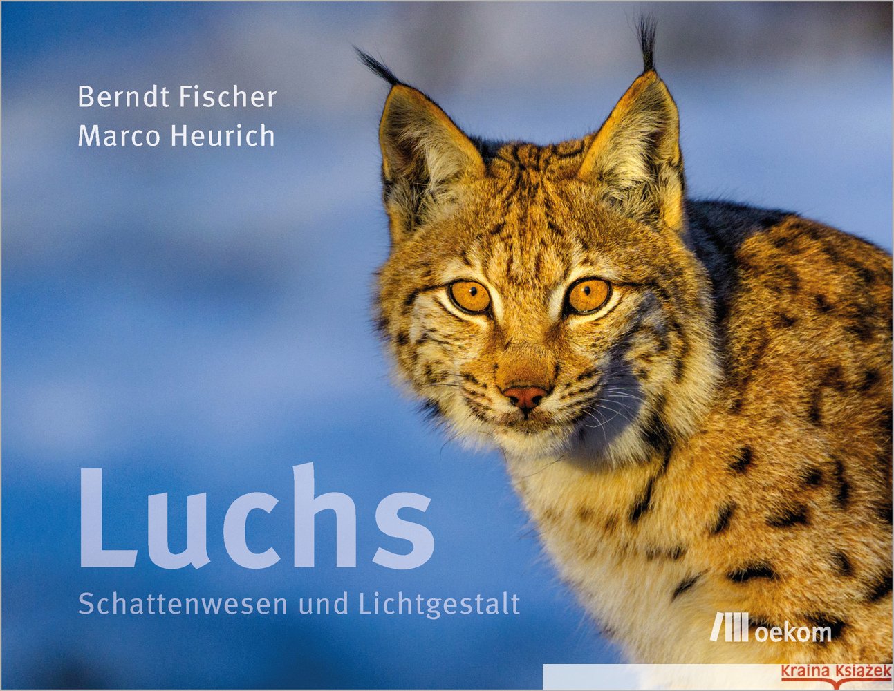 Luchs Fischer, Berndt, Heurich, Marco 9783987261930 oekom - książka