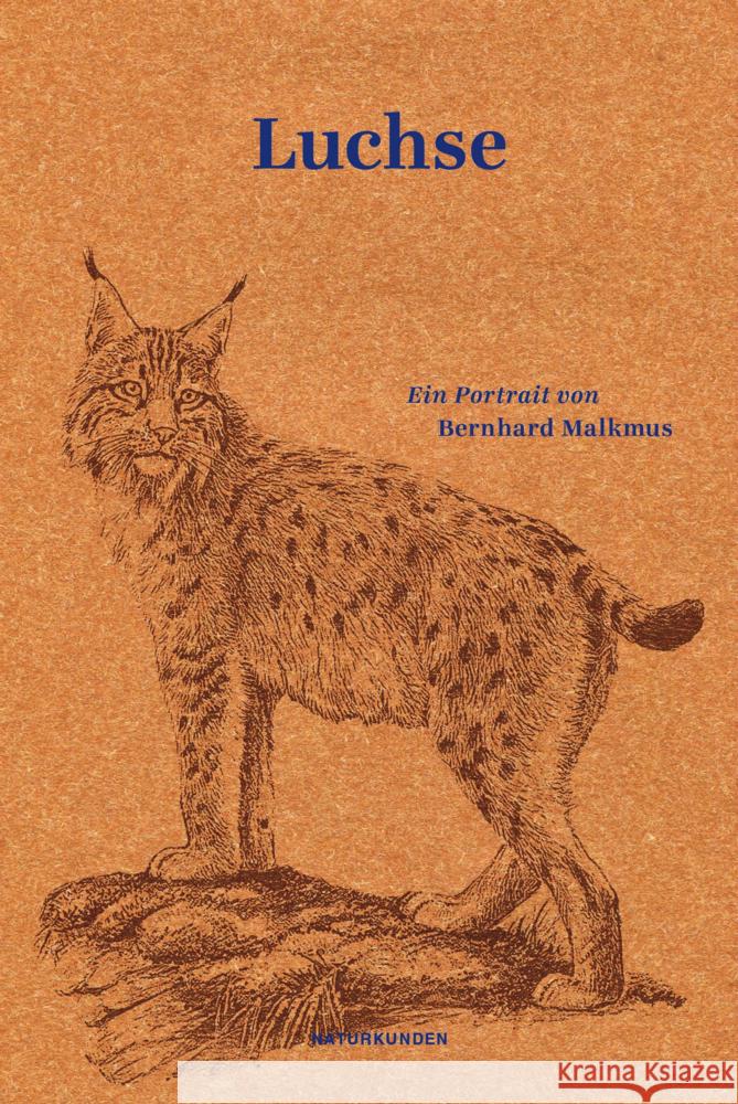 Luchse Malkmus, Bernhard 9783751802208 Matthes & Seitz Berlin - książka