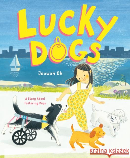 Lucky Dogs: A Story About Fostering Pups Joowon Oh 9780374391270 Farrar, Straus & Giroux Inc - książka