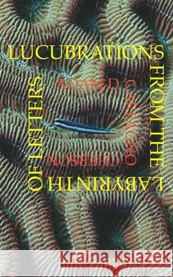 Lucubrations from the Labyrinth of Letters Adam D. Carfagno Cherson 9781520634180 Independently Published - książka