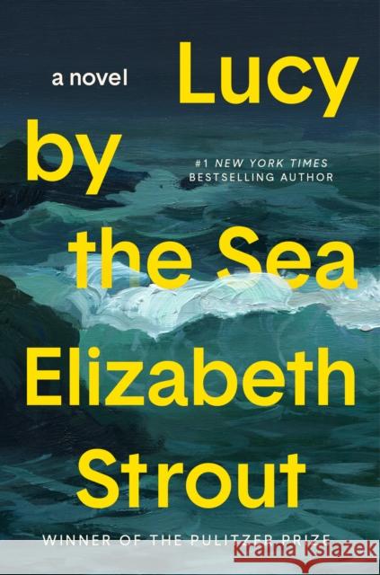 Lucy by the Sea Strout, Elizabeth 9780593446065 Random House Publishing Group - książka