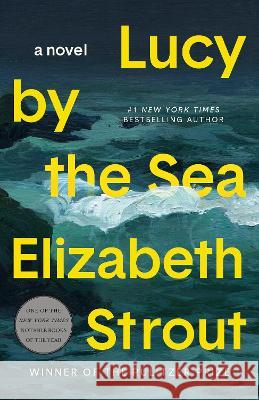 Lucy by the Sea Elizabeth Strout 9780593446089 Random House Trade - książka